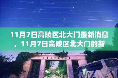11月7日高陵区北大门新篇章,变化中的学习之旅,自信与成就感的魔法之门开启