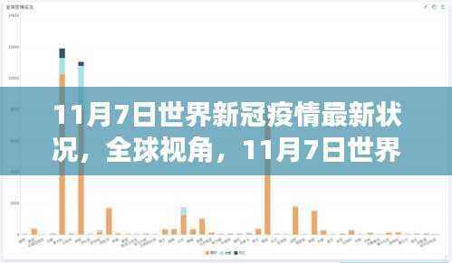 全球视角深度解析，11月7日世界新冠疫情最新状况报告