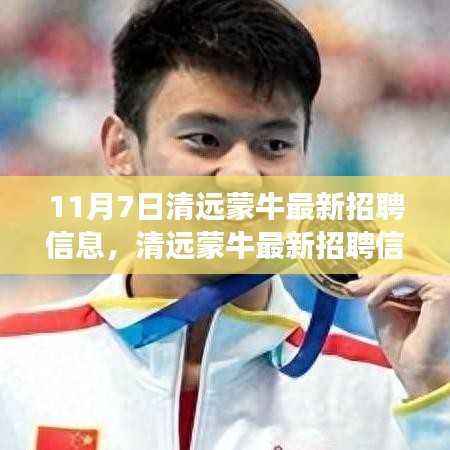 清远蒙牛最新招聘信息解读,特性、体验、竞品对比与目标用户分析全解析