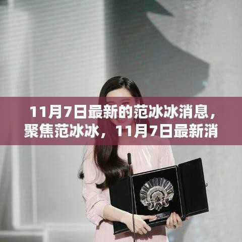 范冰冰最新消息聚焦,深度解析其最新动态(11月7日更新)