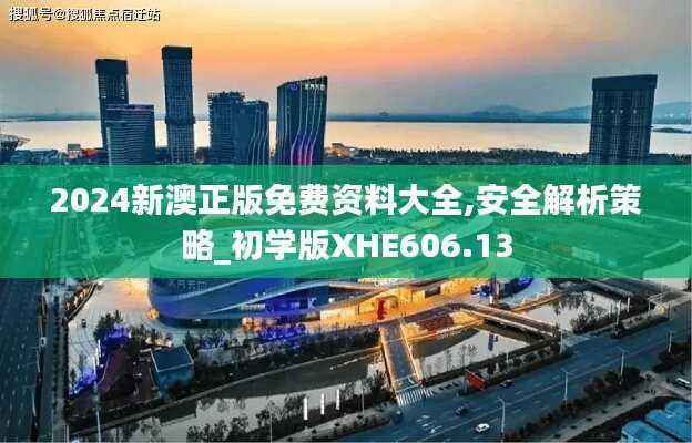 2024新澳正版免费资料大全,安全解析策略_初学版XHE606.13