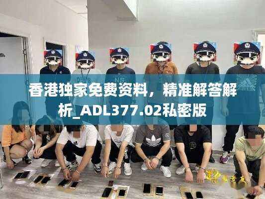 香港独家免费资料,精准解答解析_ADL377.02私密版