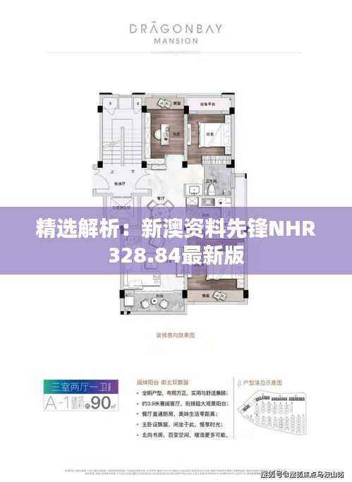 精选解析:新澳资料先锋NHR328.84最新版