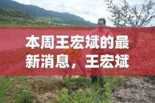 王宏斌本周揭秘,自然美景中的心灵之旅与内心平和的寻找