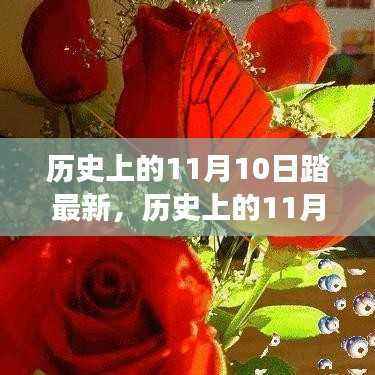 历史上的11月10日,自然美景的心灵探寻之旅