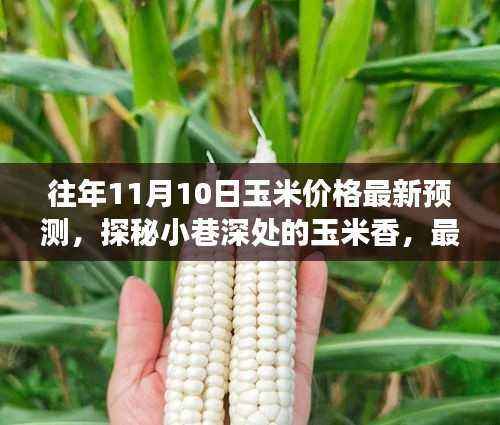 探秘小巷深处的玉米香与美食宝藏,最新玉米价格预测报告出炉!