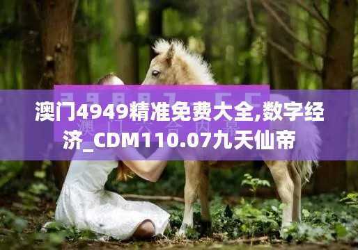 澳门4949精准免费大全,数字经济_CDM110.07九天仙帝