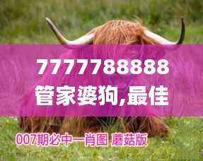 7777788888管家婆狗,最佳精选解释定义_至高存在IEZ169.01
