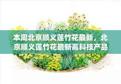 北京顺义莲竹花最新高科技产品惊艳亮相,体验未来科技,生活巨变触手可及