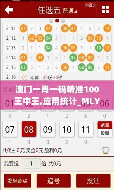 澳门一肖一码精准100王中王,应用统计_MLY368.32超凡版