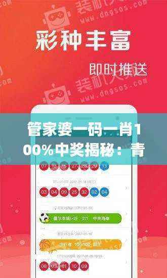 管家婆一码一肖100%中奖揭秘:青岛特评分析_ENU408.13探险版