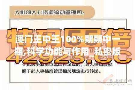 澳门王中王100%期期中一期,科学功能与作用_私密版XKA952.91