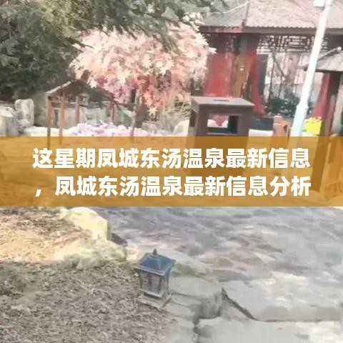 凤城东汤温泉最新动态,揭秘最新信息、价值分析与未来展望