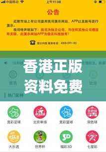 香港正版资料免费资料大全一,安全解析策略_AIP685.06气宗境