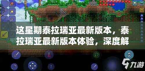 泰拉瑞亚最新版本的深度体验与观点阐述