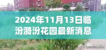 张牙舞爪 第31页