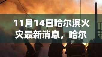 哈尔滨火灾背后的温暖故事,友情、家庭与不屈不挠的陪伴(最新消息11月14日)