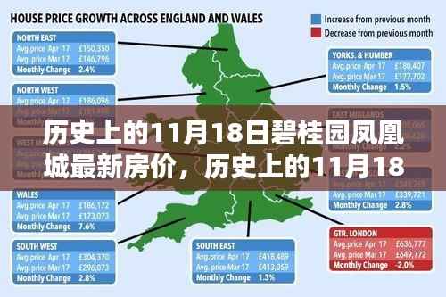 历史上的11月18日碧桂园凤凰城房价概览与最新动态分析报告!