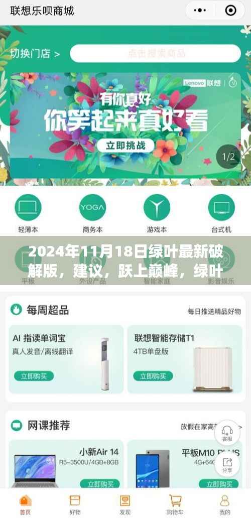 绿叶成长之路的新篇章,破解学习之道,拥抱变化的力量,跃上巅峰的建议(最新破解版)