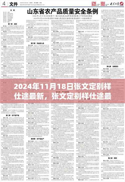 张文定别样仕途最新进展深度解析(2024年11月版)
