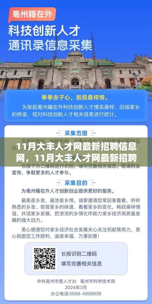 11月大丰人才网最新招聘信息网,求职机遇与挑战一览