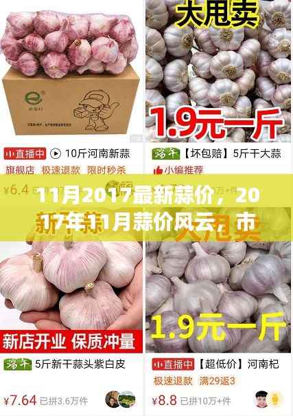 时代印记下的市场波动,2017年11月蒜价风云