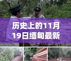 缅甸历史重要时刻,新篇章下的变革与自我提升之旅的抓捕行动纪实(11月19日)