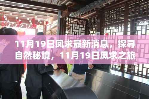 探寻自然秘境,凤求之旅启程寻找内心平静之旅的最新呼唤