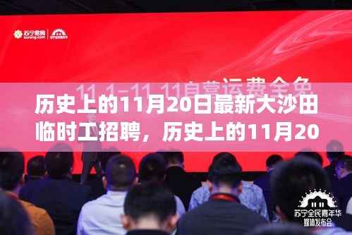 历史上的11月20日大沙田临时工招聘深度解读与新视角
