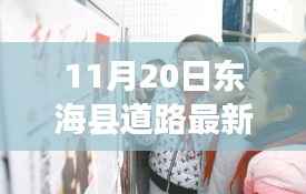 11月20日东海县道路最新动态及更新消息概览