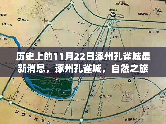 历史上的11月22日涿州孔雀城最新消息,涿州孔雀城,自然之旅的心灵觉醒