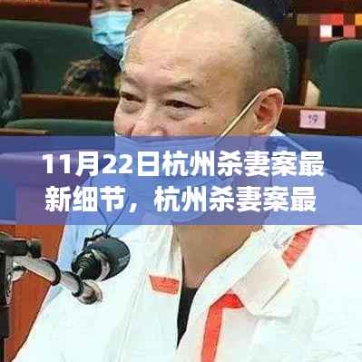 杭州杀妻案最新进展与细节揭秘,深度解析案件进展与疑点