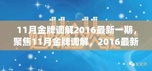 深度解读,聚焦金牌调解最新一期,探索调解之道