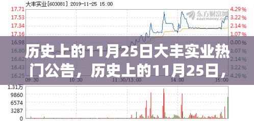 历史上的11月25日,大丰实业公告引领时代风潮,热门公告揭秘