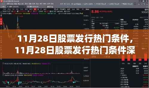 11月28日股票发行热门条件深度解析