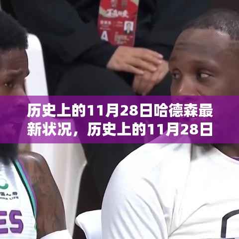 多维解析,哈德森在历史上的11月28日的发展现状与现状探讨