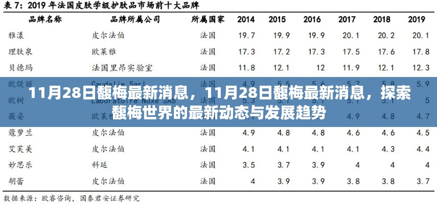 探索馥梅世界,最新动态与趋势报道