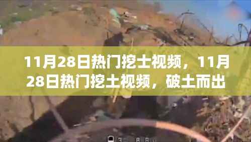 11月28日热门挖土视频，破土而出的力量与自信成就感的源泉