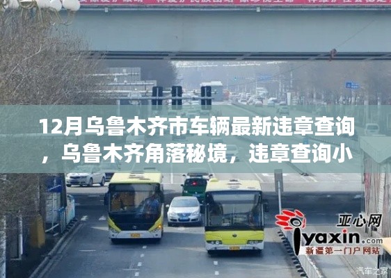 乌鲁木齐市车辆违章查询探秘,角落秘境与奇遇记