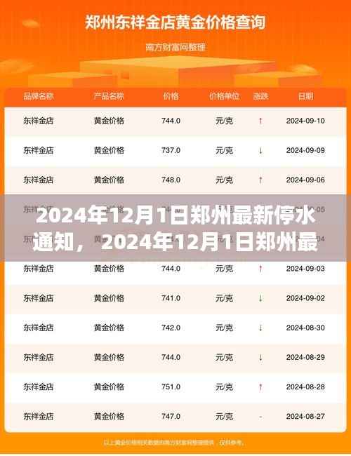 花开无言 第13页