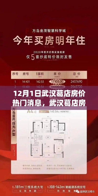 武汉葛店房价风云再起,12月1日热门消息回顾