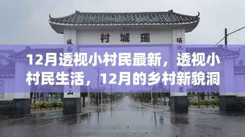 透视小村民生活,揭秘乡村新貌,洞察十二月乡村变迁