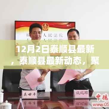 泰顺县最新动态聚焦,探寻发展新篇章(12月2日版)
