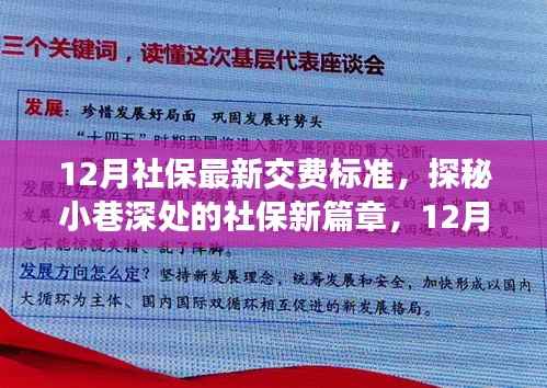探秘社保新篇章,12月社保最新交费标准与特色小店观察