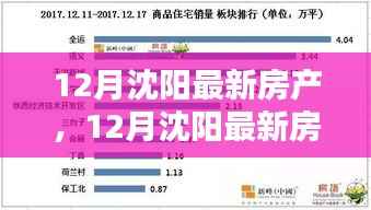 沈阳最新房产动态，投资置业的理想选择，12月最新房产资讯