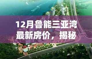 揭秘鲁能三亚湾最新房价,神秘小店与独特风情下的房价走势分析