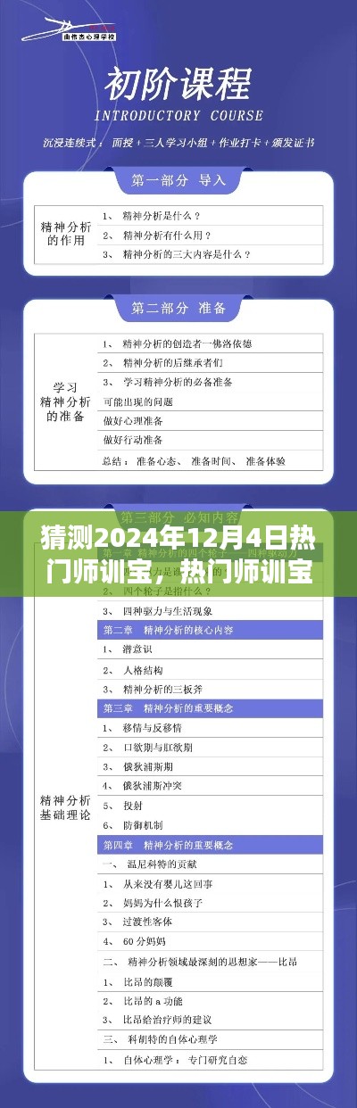 猜测2024年12月4日热门师训宝,热门师训宝——猜测2024年12月4日产品特性及全面介绍