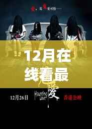 12月在线观影指南,最新电影热门网站大解析