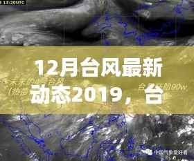 关于台风登陆与影响的深度探讨,最新动态下的台风动态再观察(十二月版)