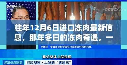 那年冬日的冻肉奇遇,友情与陪伴的温馨故事,最新进口冻肉信息揭秘
